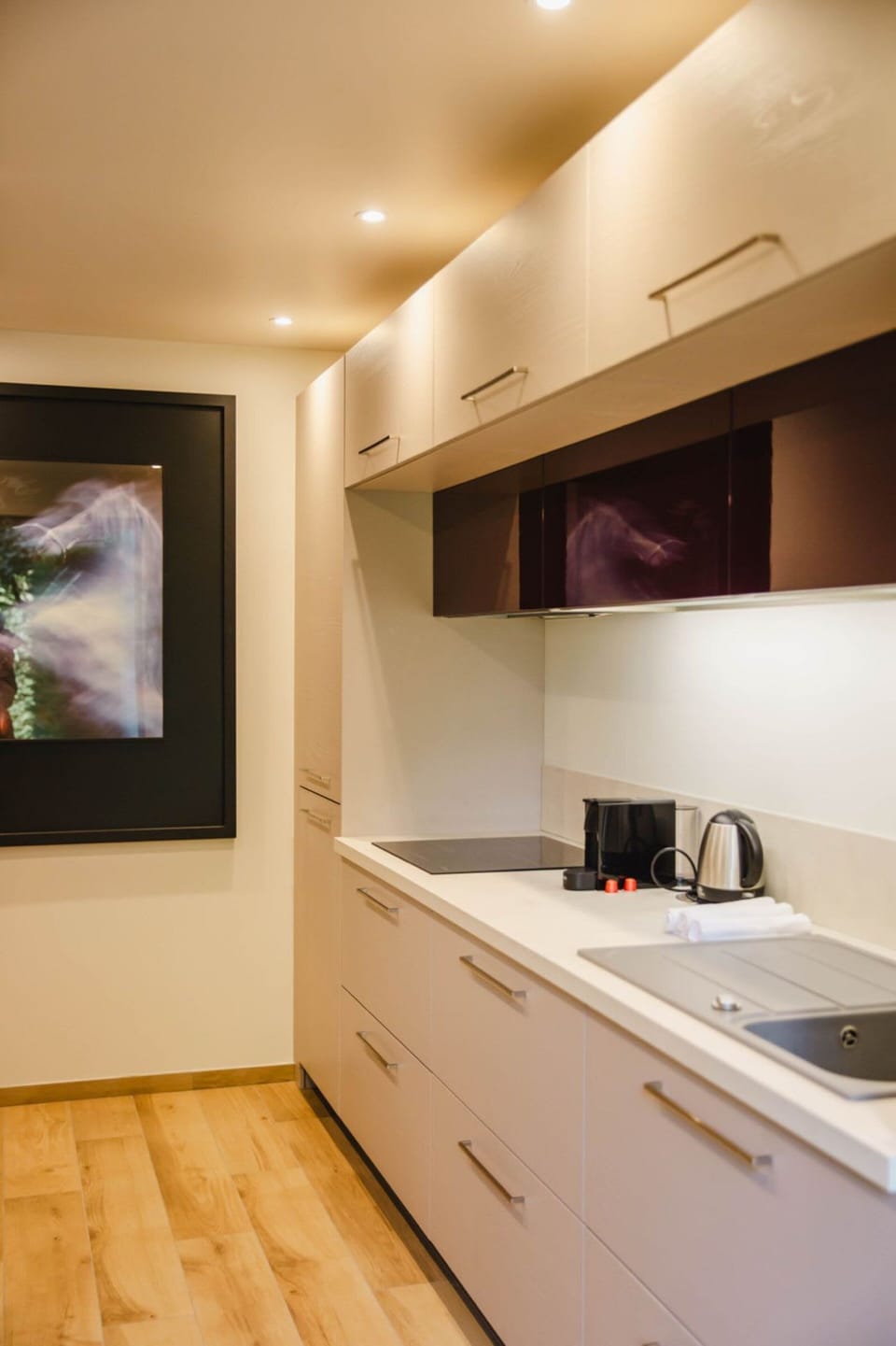 Apartment | Private kitchen | Oven, cookware/dishes/utensils, cleaning supplies