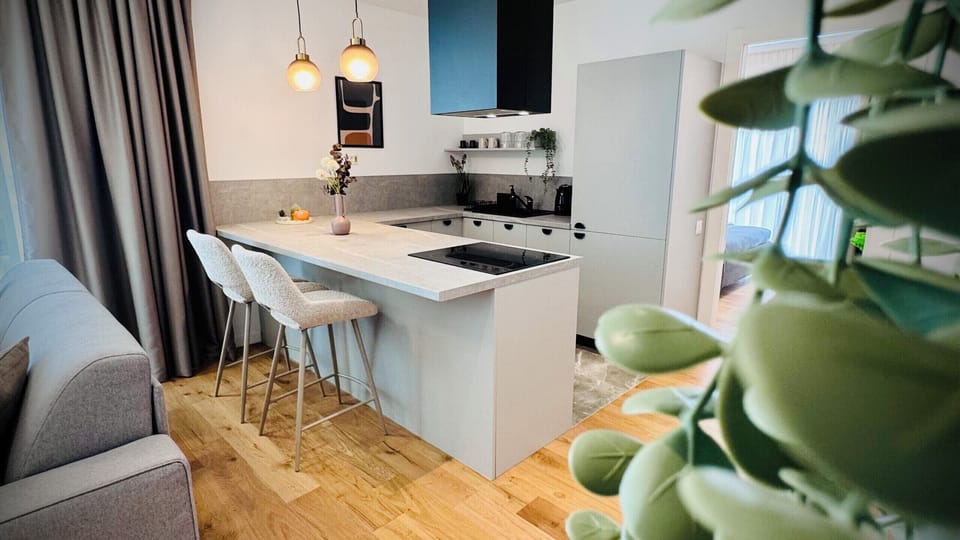 Comfort Apartment, 1 Bedroom, Non Smoking, Balcony | Interior
