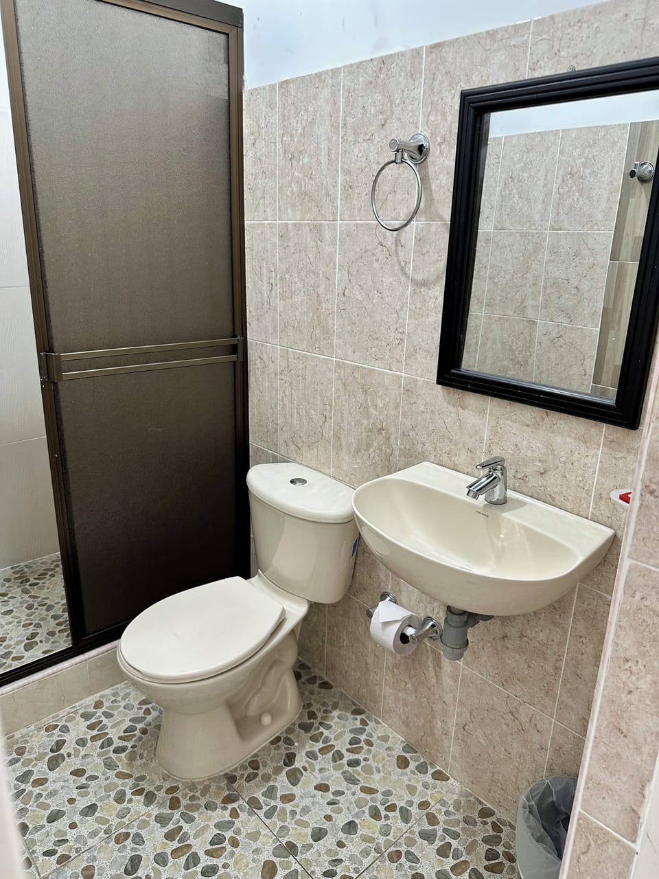 Shower, towels, toilet paper