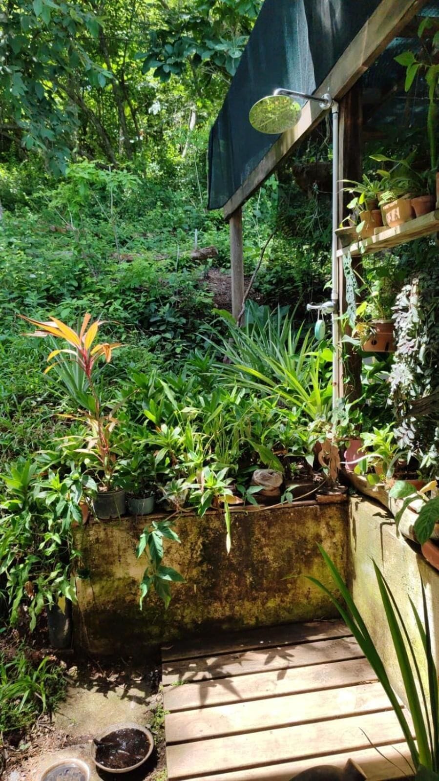 House, 1 Bedroom, Smoking, Balcony | Garden