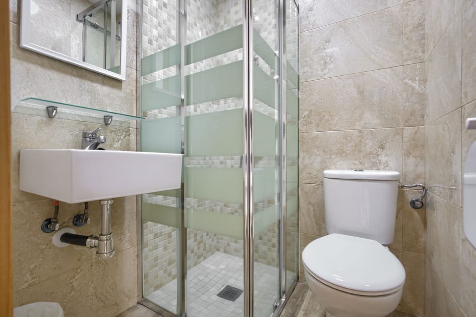 Shower, towels, soap, toilet paper