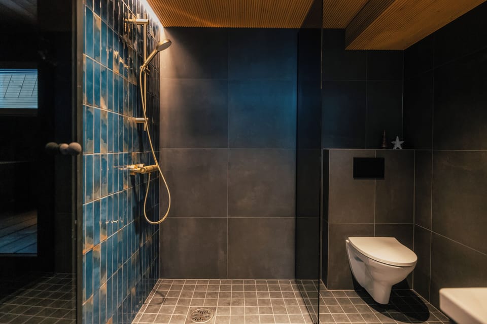 Shower, hair dryer, bidet, heated floors
