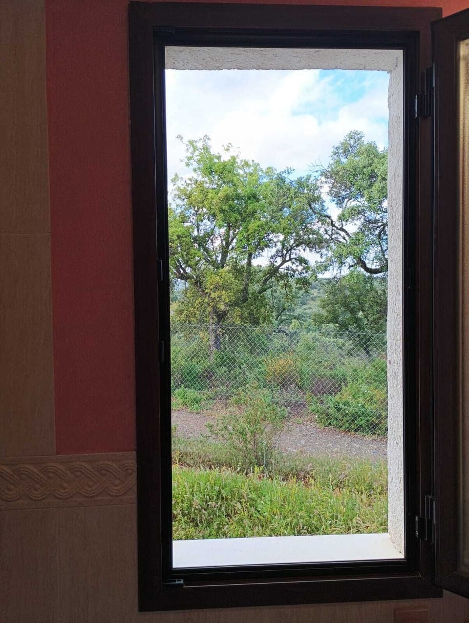 Bathtub, toilet paper