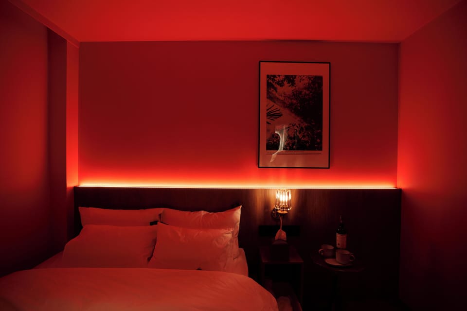 Deluxe Double Room, 1 Queen Bed, Non Smoking, Private Bathroom | Desk, laptop workspace, soundproofing, free WiFi