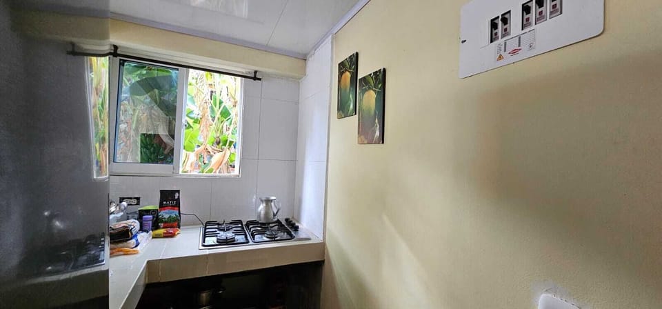 APARTAMENTO CEDAR VALLEY | Private kitchen | Freezer