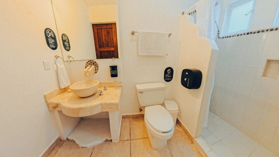 Shower, soap, toilet paper