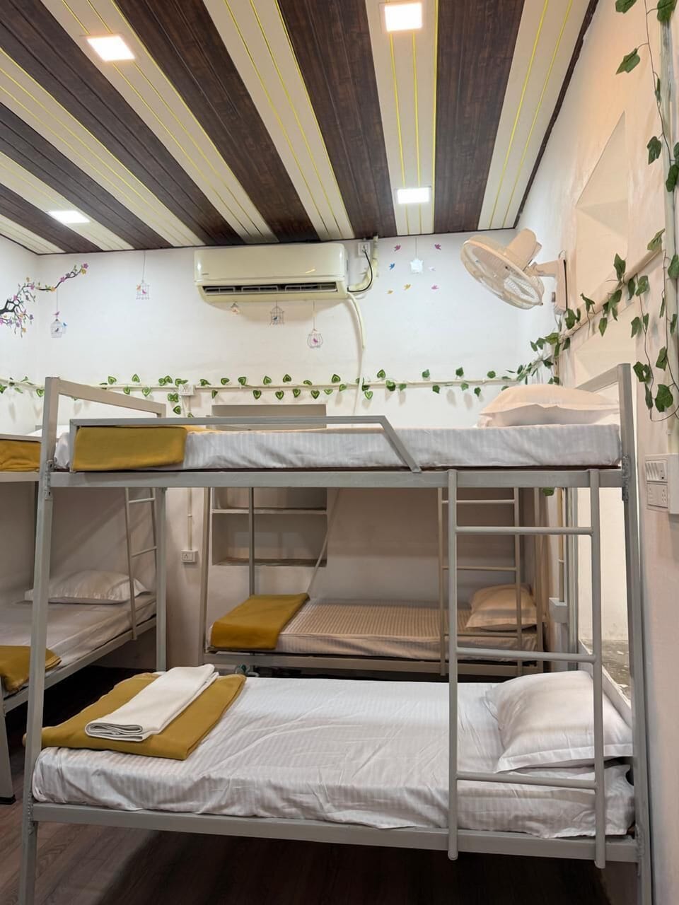 Shared Dormitory | Free WiFi