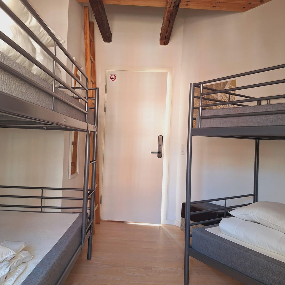 Basic Shared Dormitory, Mixed Dorm, City View | Hypo-allergenic bedding, desk, laptop workspace, free WiFi