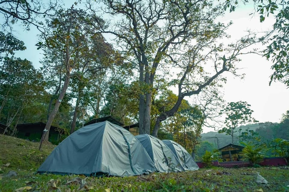 Basic Tent | Free WiFi