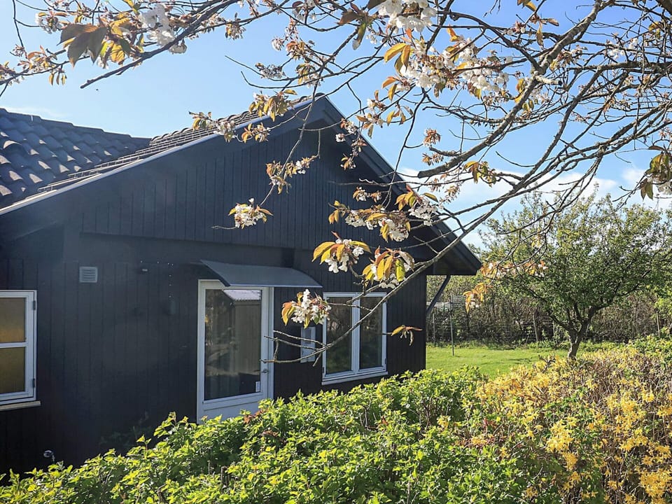 House | View from property