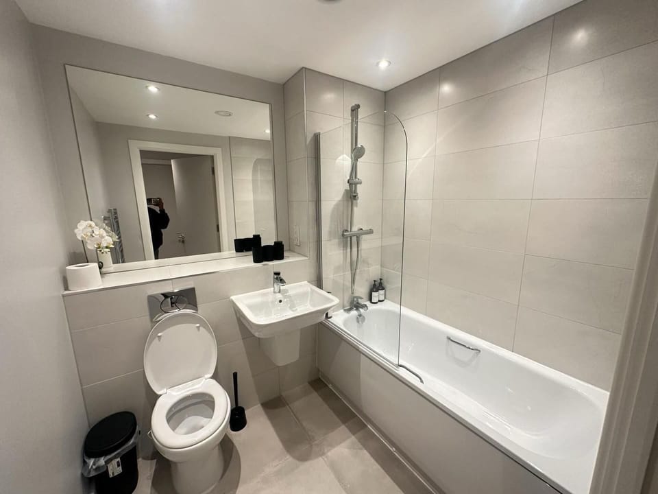 Shower, towels, toilet paper