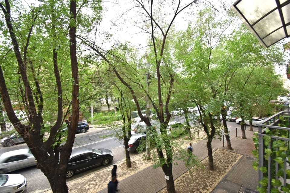 Basic Apartment, Balcony, Park View | Balcony view
