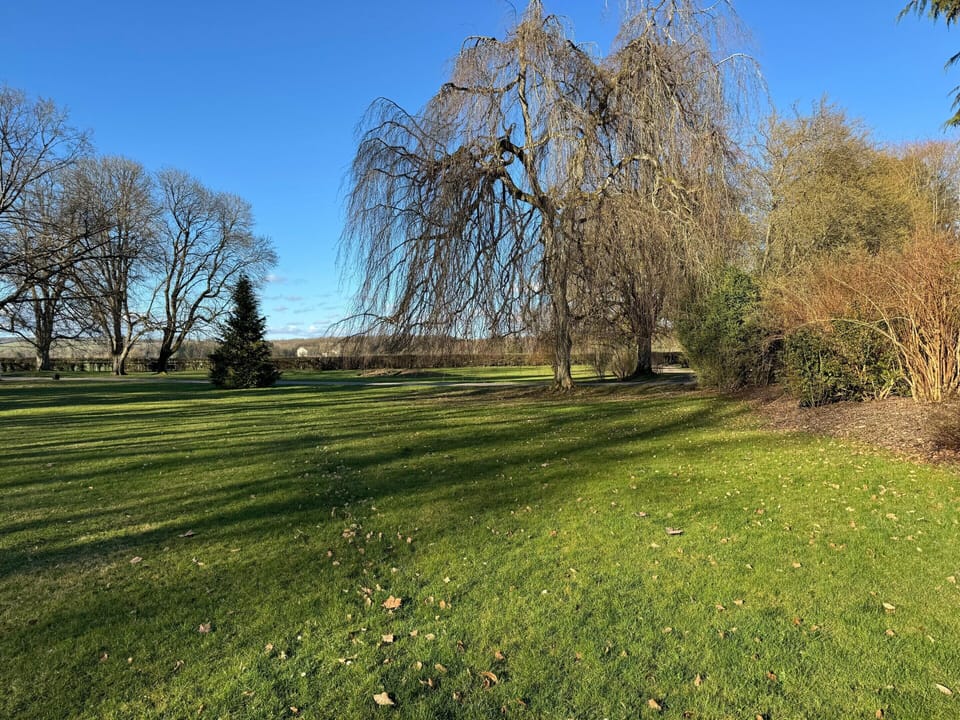 House | View from property