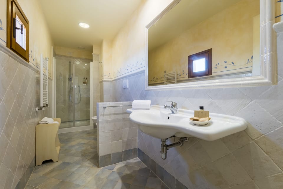 Combined shower/tub, eco-friendly toiletries, hair dryer, bidet