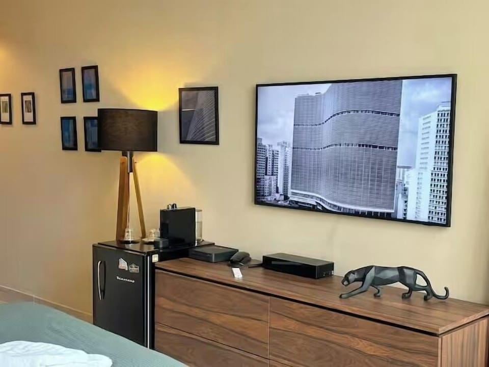 Television