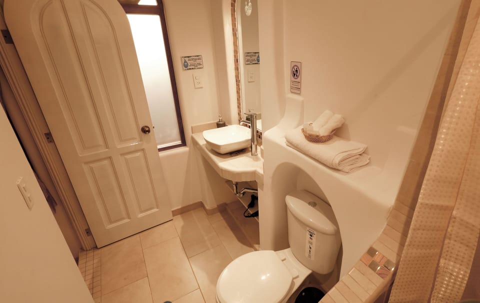 Shower, eco-friendly toiletries, hair dryer, towels