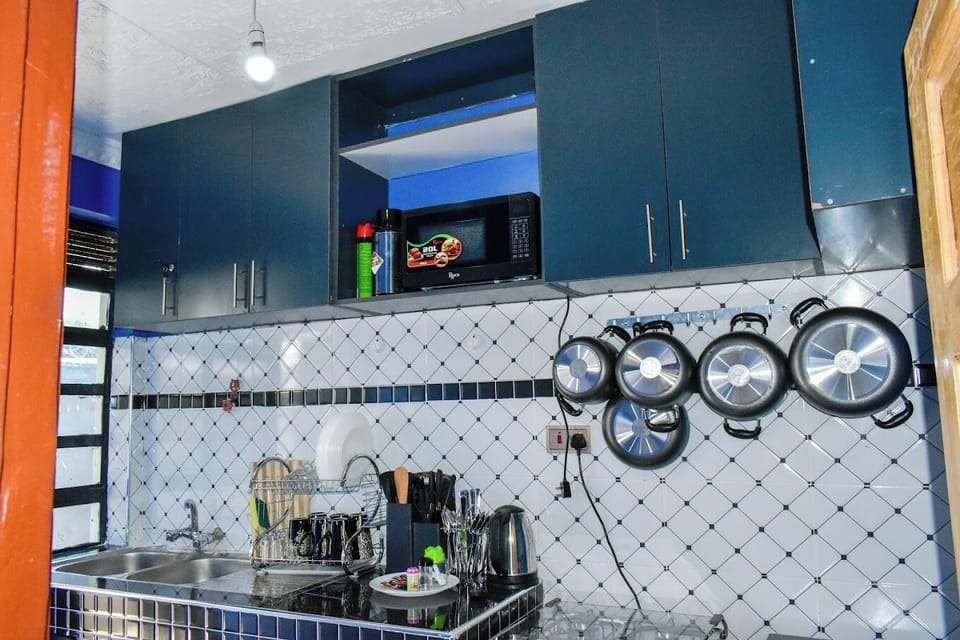 Family Apartment, City View | Private kitchen | Fridge, microwave, cookware/dishes/utensils