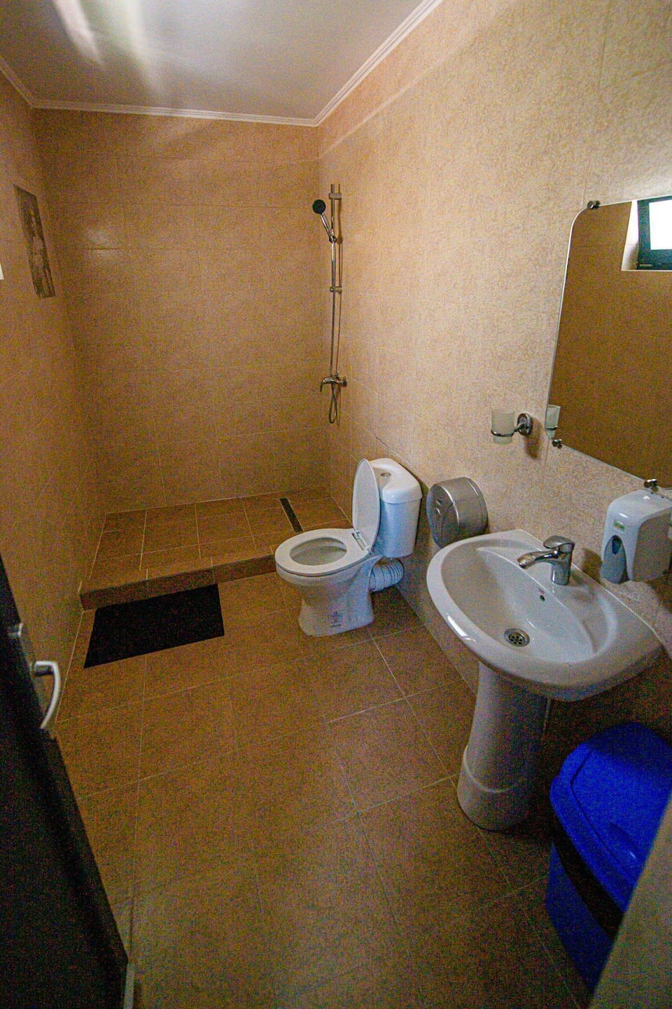 Pensiunea Domneasca Bed and Breakfast in Romania