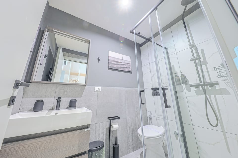 Standard Double or Twin Room | Bathroom | Shower, hair dryer, towels, soap