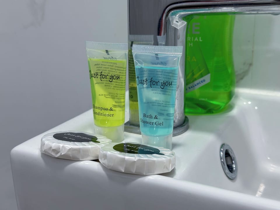 Shower, free toiletries, hair dryer, bidet