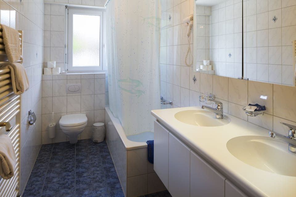 Combined shower/tub, free toiletries, hair dryer, towels