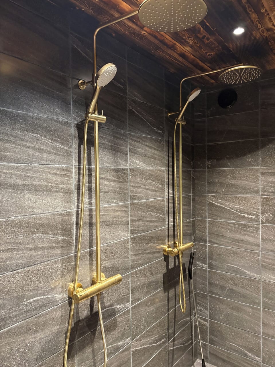 Shower, towels, toilet paper
