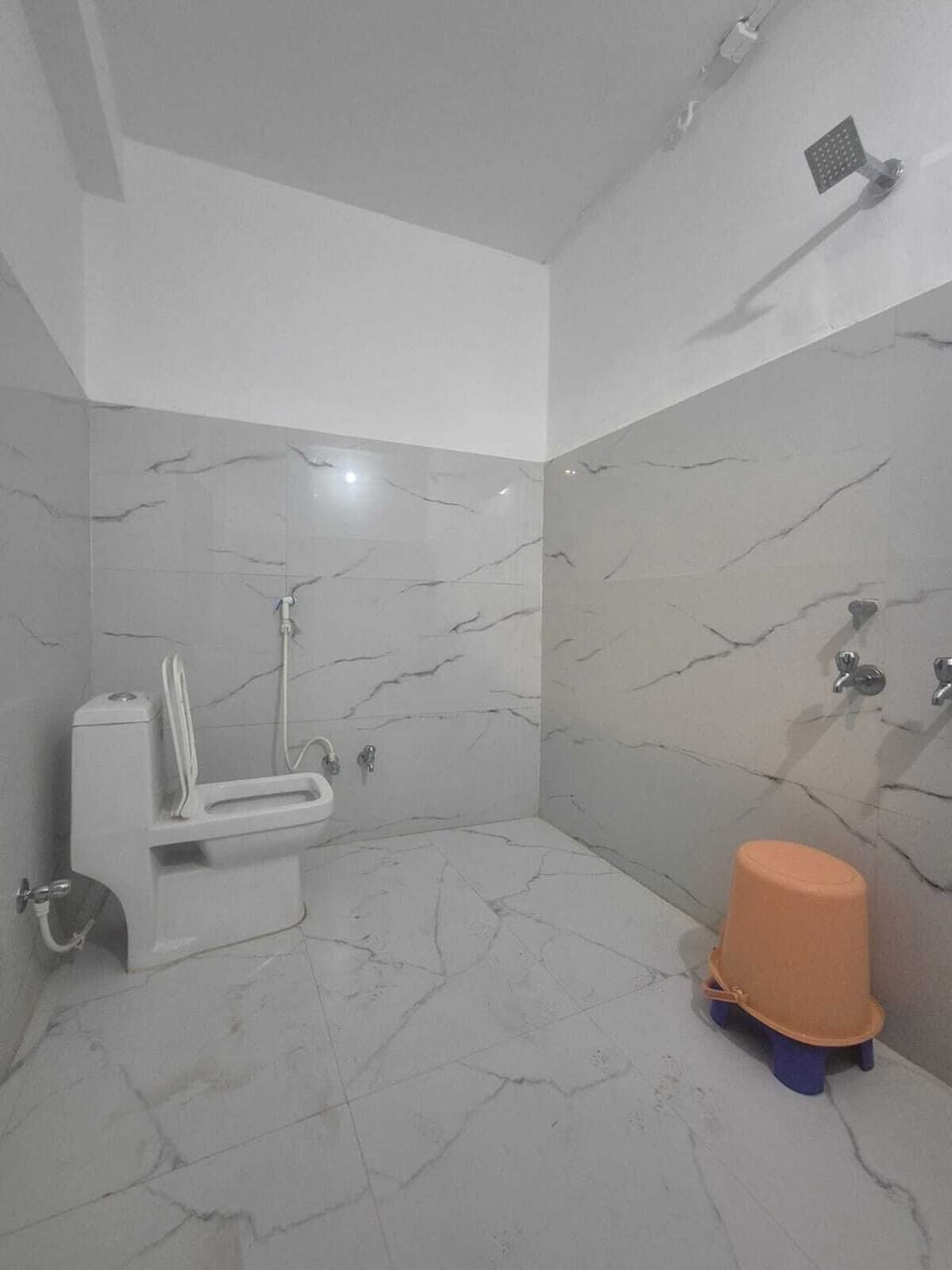 Shower, toilet paper