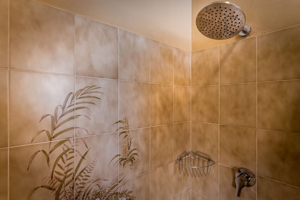 Shower, free toiletries, hair dryer, bidet