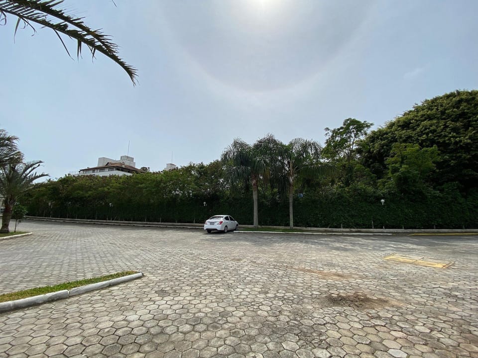 Free self parking