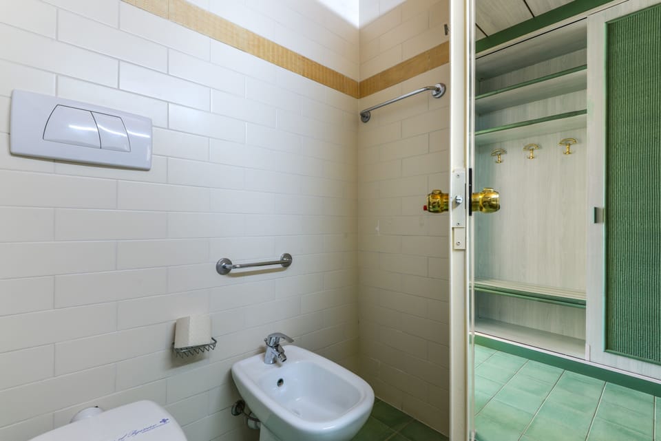 Rainfall showerhead, hair dryer, bidet, towels
