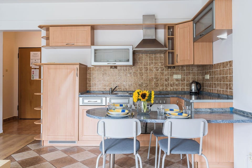 Apartment | Iron/ironing board, free WiFi