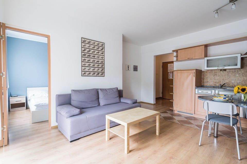 Apartment | Iron/ironing board, free WiFi