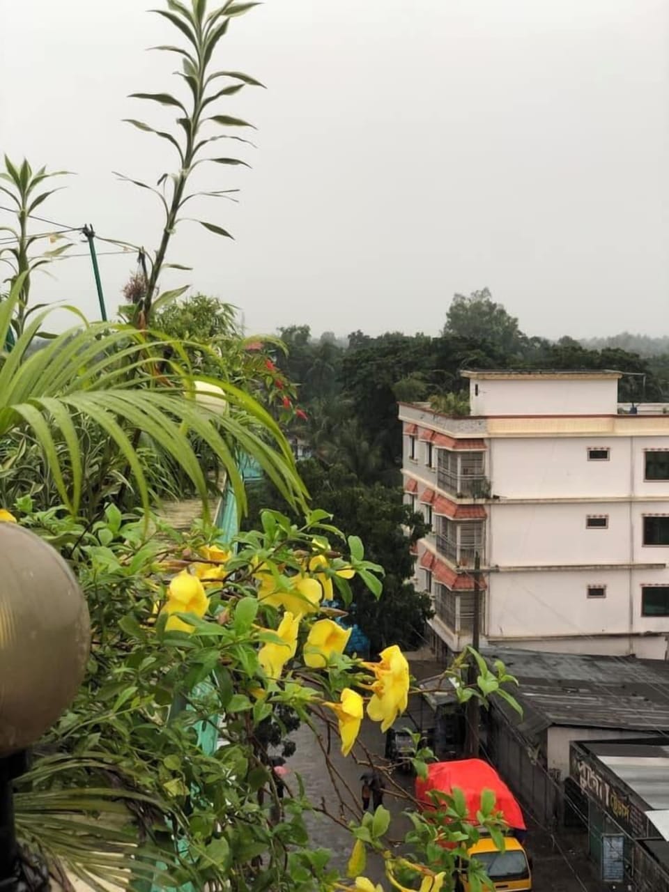 View from room