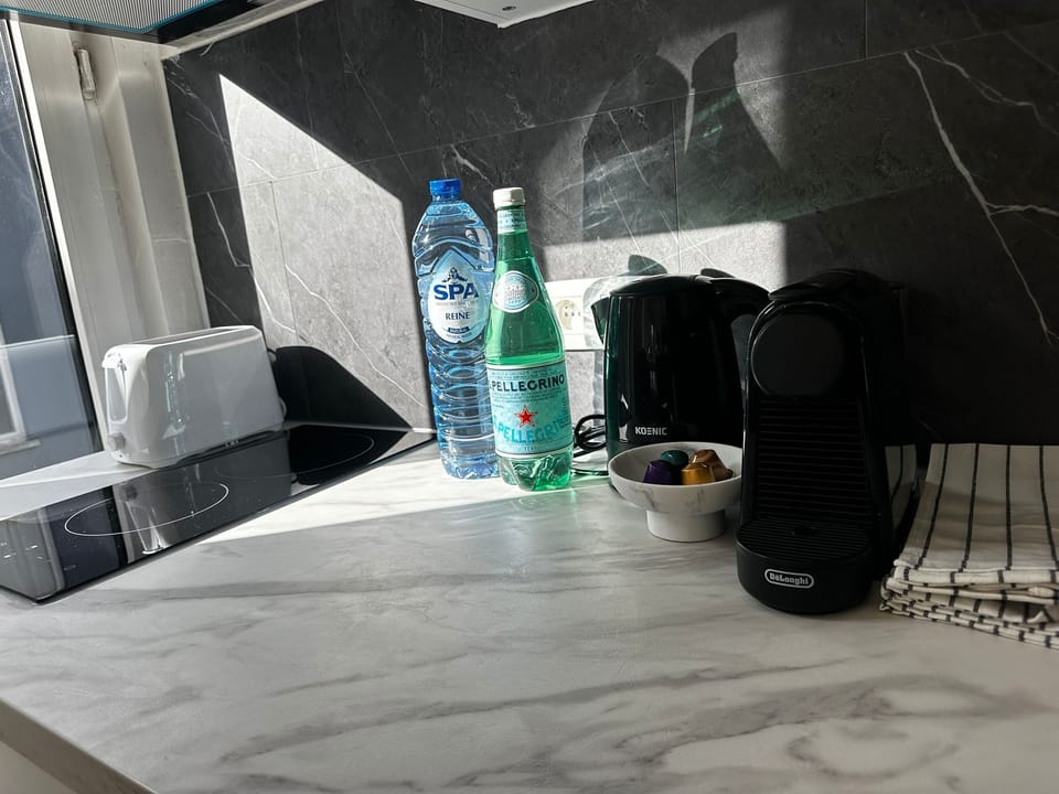 Basic Apartment | Private kitchen | Fridge, microwave, oven, stovetop