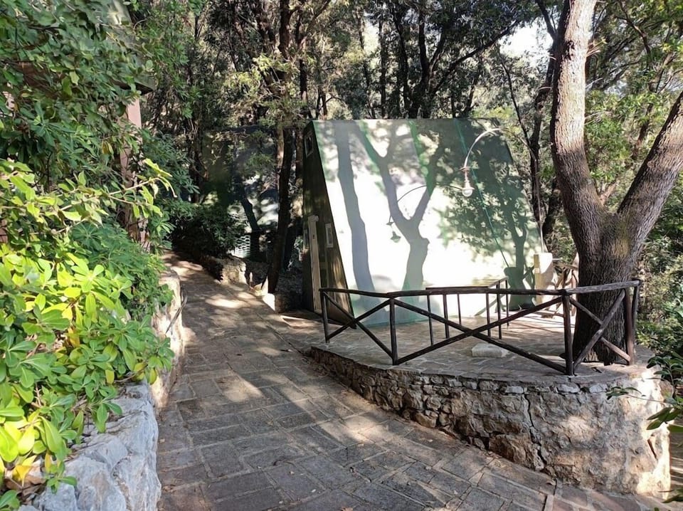 Basic Bungalow, Park View