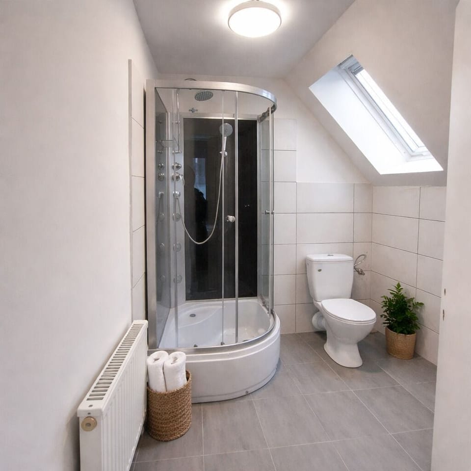 Shower, free toiletries, hair dryer, towels