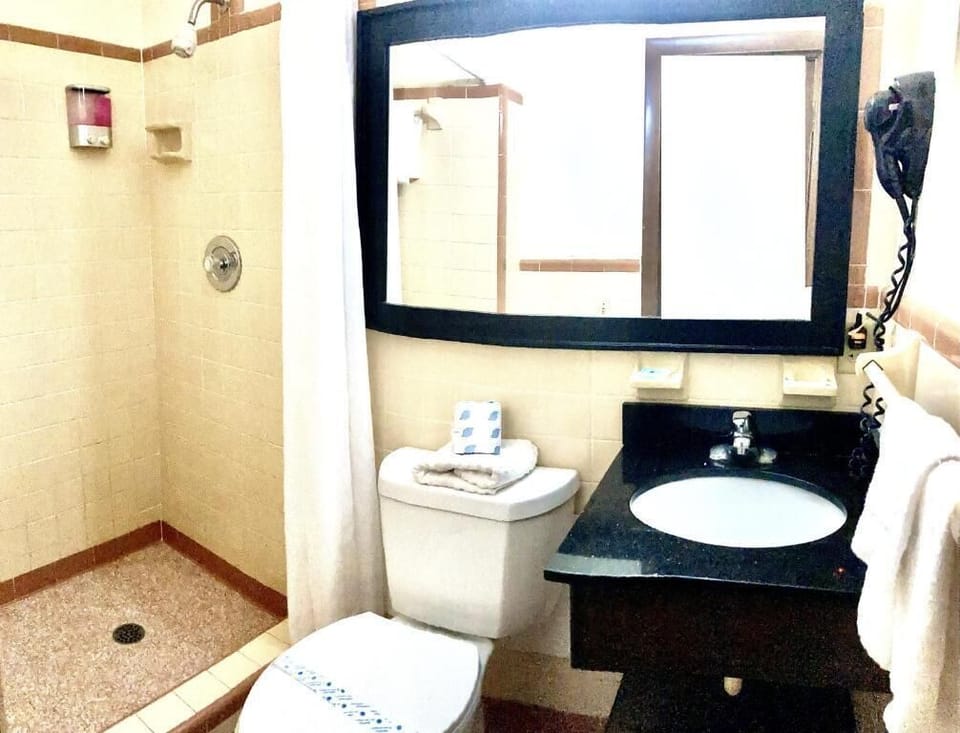 Single Room, 1 King Bed, Non Smoking | Bathroom | Shower, towels, soap, shampoo