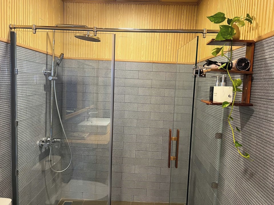 Shower, hair dryer, slippers, bidet