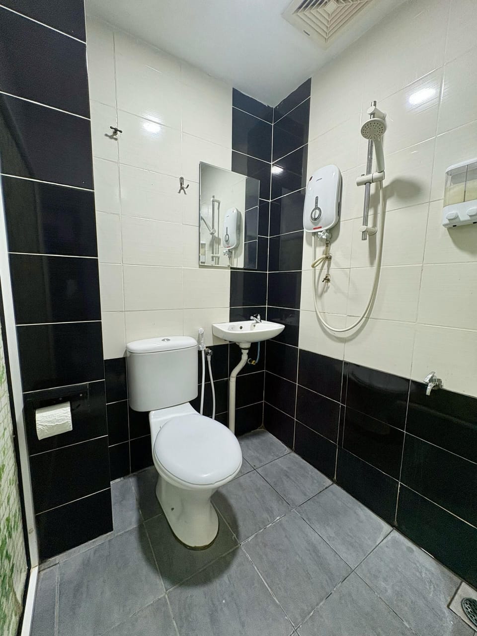 Shower, free toiletries, hair dryer, bidet