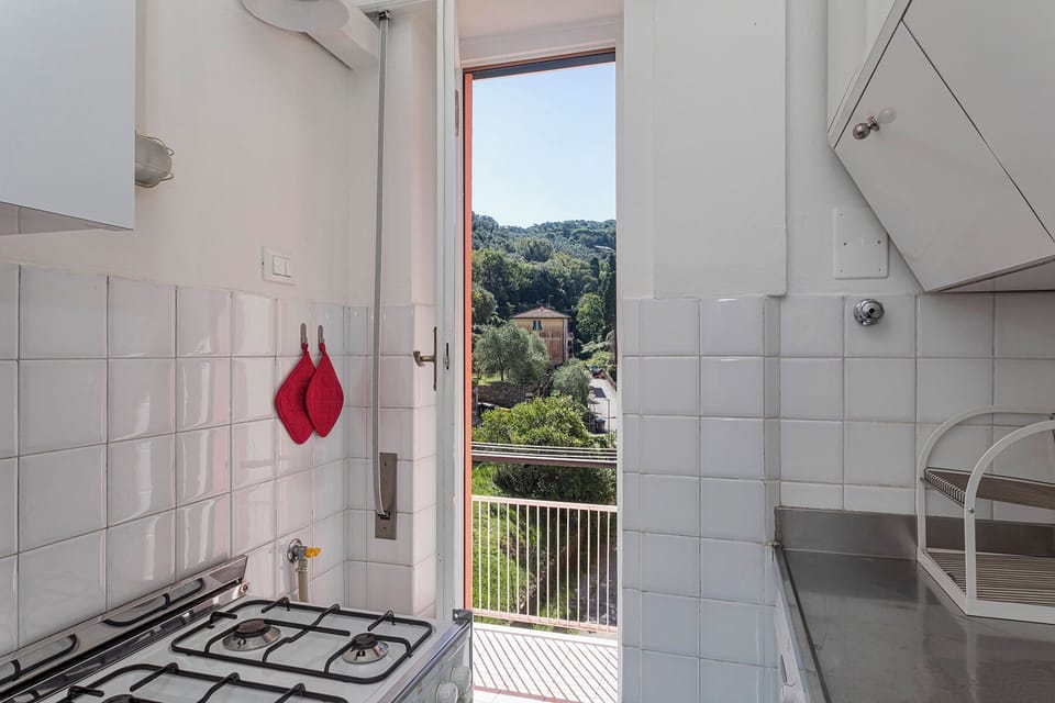 Basic Apartment, Balcony | Private kitchen