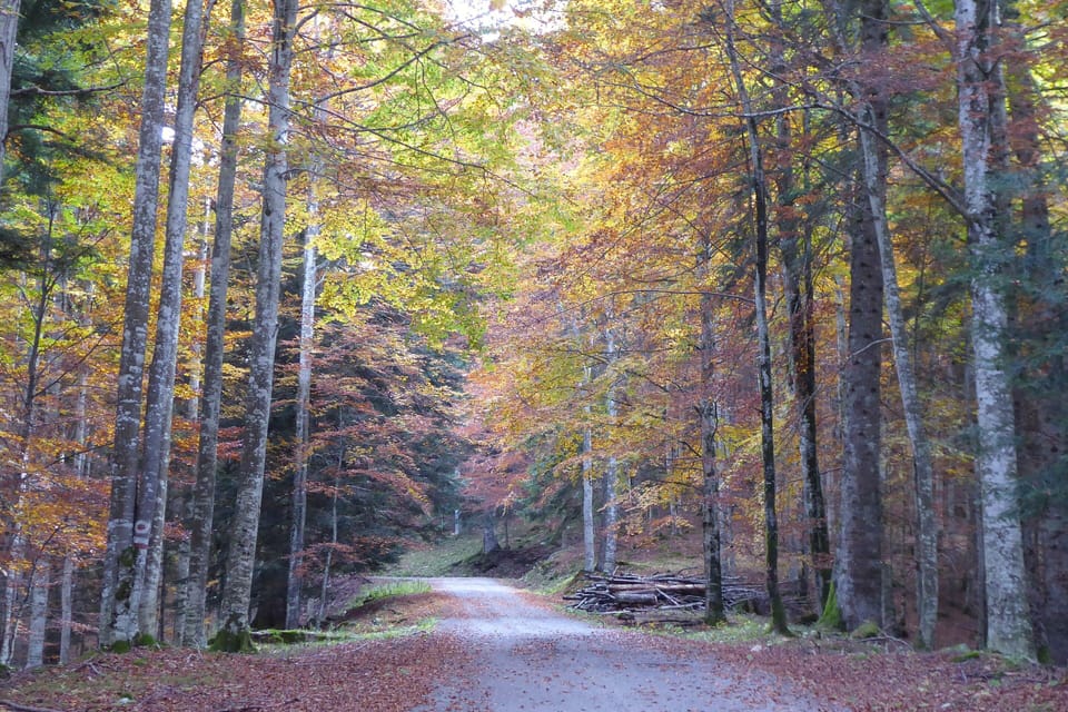 Hiking