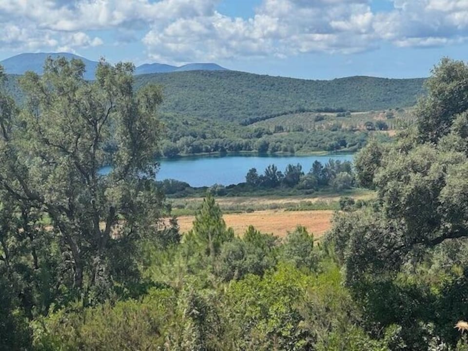 Land view from property