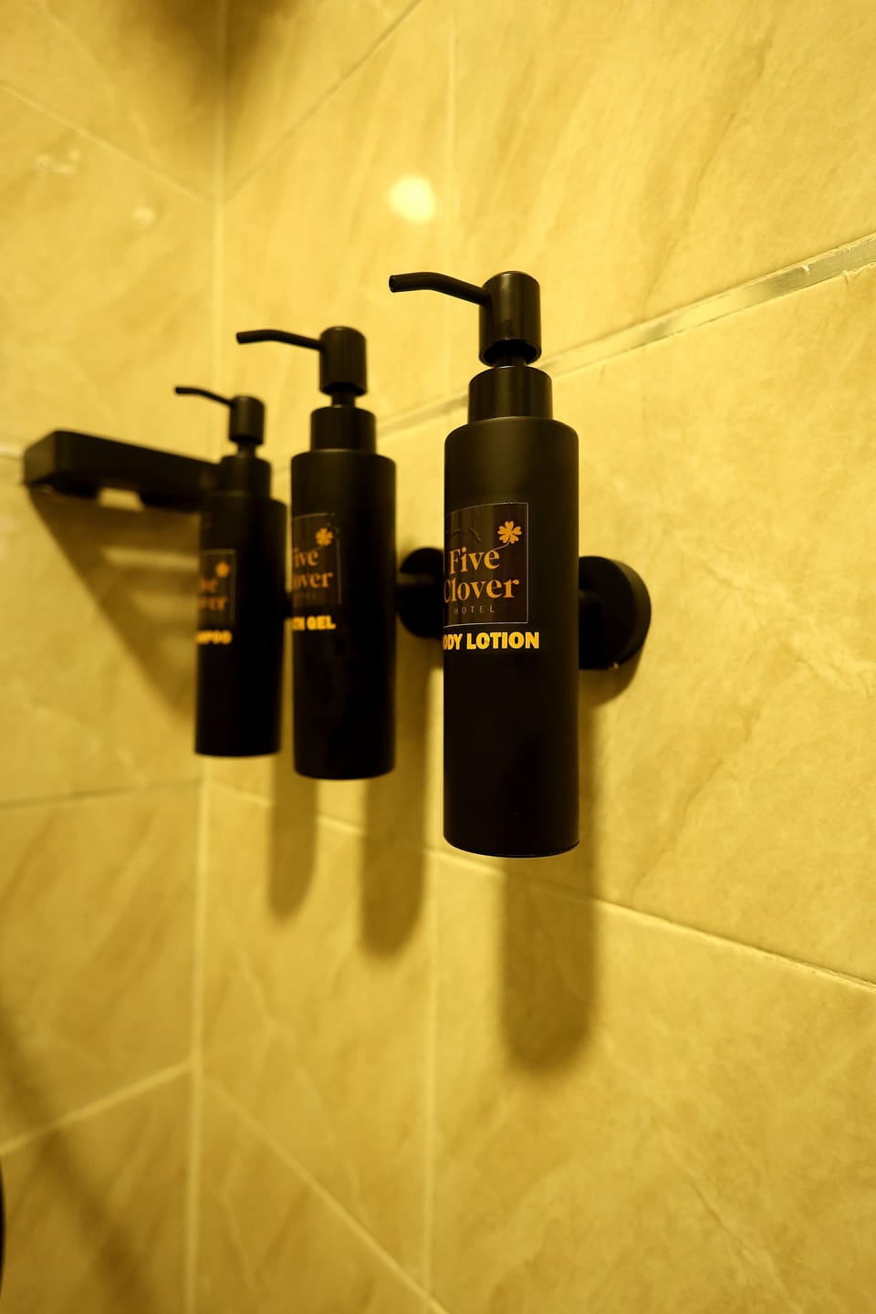 Shower, free toiletries, bidet, towels