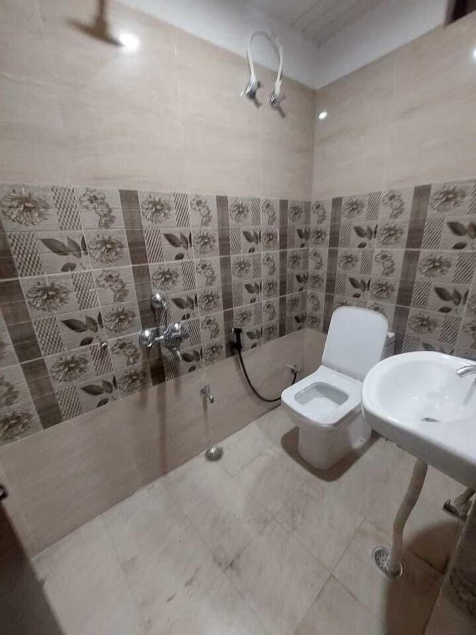 Shower, toilet paper