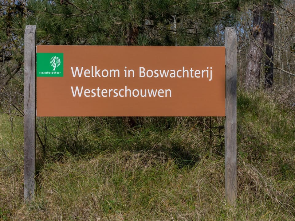 House | View from property