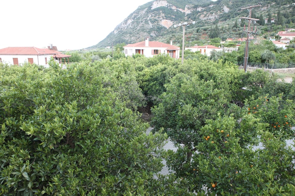 Comfort Double 34.35 or Twin Room, Balcony, Mountain View | Miscellaneous