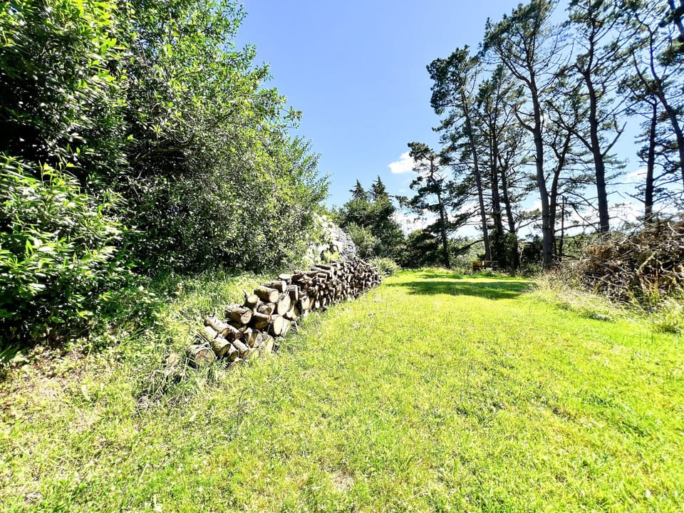House | Garden
