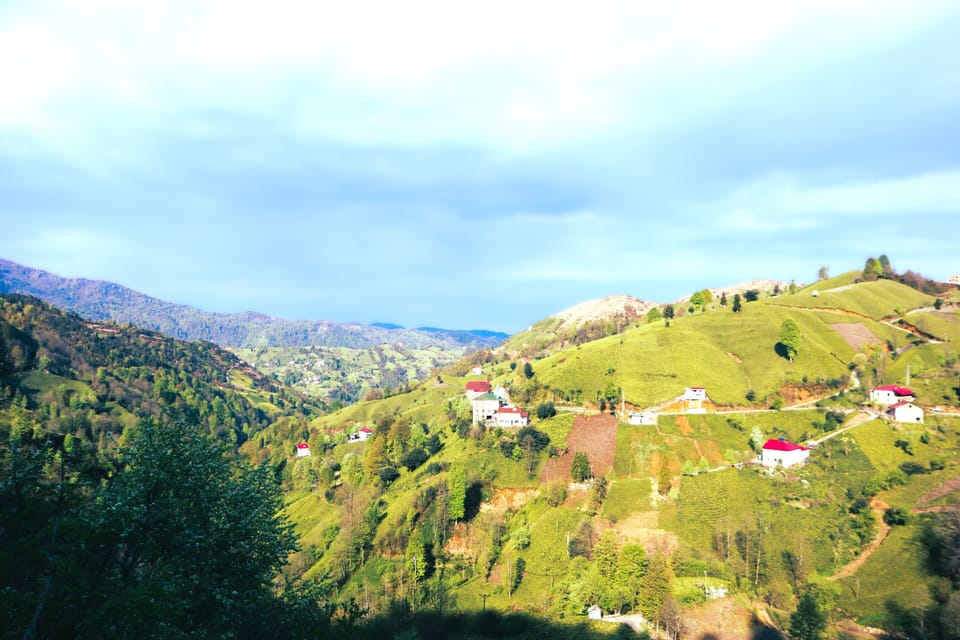 Deluxe Bungalow, Patio, Valley View | View from room
