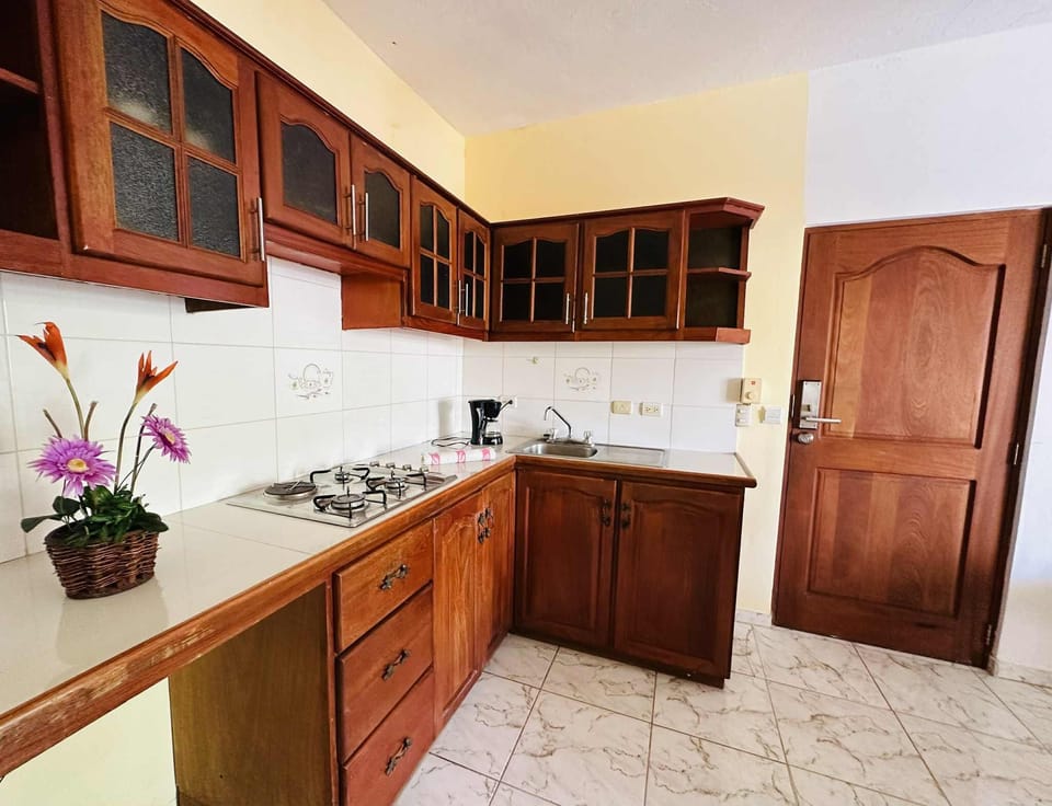 Comfort Apartment, 1 Bedroom | Private kitchen | Fridge, coffee/tea maker, dining tables