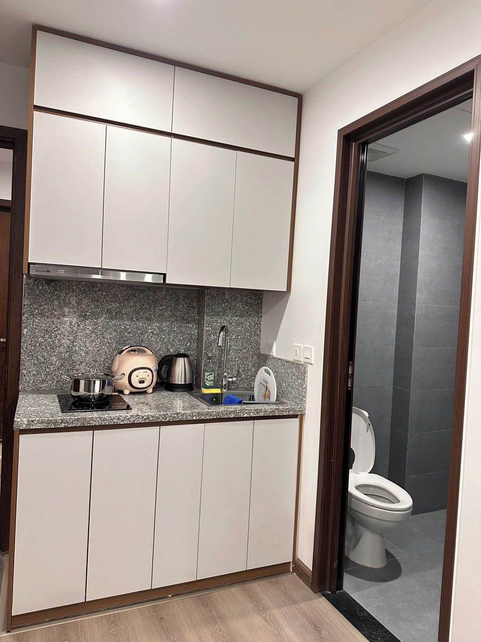 Standard Apartment, Balcony, City View | Private kitchen | Fridge, stovetop, electric kettle, cookware/dishes/utensils